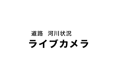 ライブカメラ